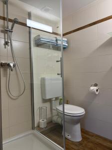 a bathroom with a toilet and a glass shower stall at Gästezimmer Schupanez in Leutschach