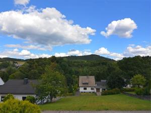 a house in the middle of a yard with trees at Modern Escape in Niedersfeld in Winterberg