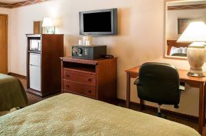 une chambre d'hôtel avec un lit, un bureau et une télévision dans l'établissement Quality Inn & Suites Las Cruces - University Area, à Las Cruces