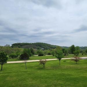 a green field with trees and a road at Olive Tree Rentals in Galena