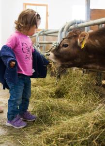 Gallery image of Apartments Oberpichlhof in Valdaora