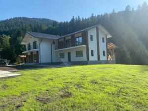 ein großes Haus mit einem Grasfeld davor in der Unterkunft Vila veverita in Schitu-Tarcău