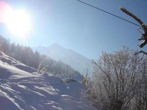 a snow covered slope with trees and a mountain at Graceful Chalet in Gaschurn with Sauna in Gaschurn +10 photos