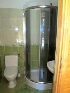 a bathroom with a shower and a toilet and a sink at Noclegi Pod Małym Królem in Ustrzyki Dolne