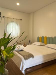a bedroom with a bed and a plant at Casa Nueve in General Luna +4 photos