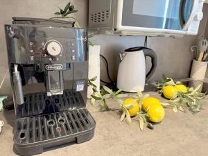 eine Kaffeemaschine auf einer Theke neben Zitronen in der Unterkunft Cozy Studioapartment in Würzburg + 13 Fotos