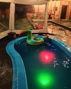 a swimming pool with a toy duck in the water at Osada Brzeziny in Brzeziny