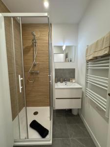 une salle de bain avec douche et lavabo dans l'établissement Mallorca, plein centre avec parking, à Reims 12 autres photos