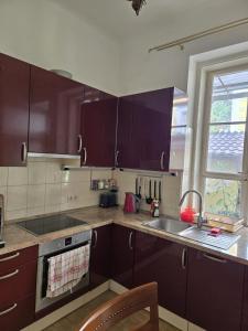 Η κουζίνα ή μικρή κουζίνα στο Kamelija - Center Apartment minute to the beach