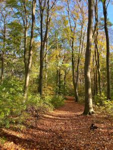 Gambar di galeri bagi Sonnige, ruhige Wohnung 5 min zum Strand u Zentrum di Zinnowitz