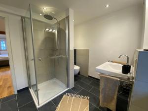 un bagno con doccia e lavandino di Weingut Bindges - Apartment Rosenhof a Traben-Trarbach