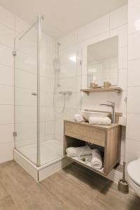 a bathroom with a shower and a sink and a toilet at Liebig Hotel in Ehringshausen