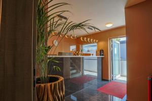 a kitchen with a counter and a potted plant at Liebig Hotel in Ehringshausen