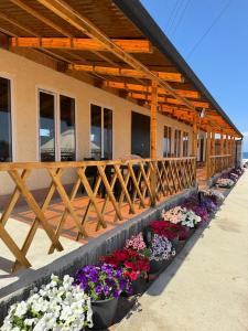 Fotografie z fotogalerie ubytování Guest house Begai Ene v destinaci Tong