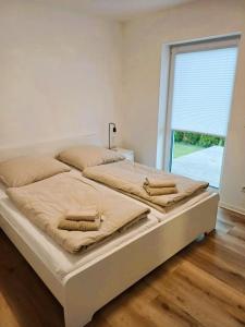 a bedroom with two beds and a large window at Ferienwohnung Felix in Ribnitz-Damgarten