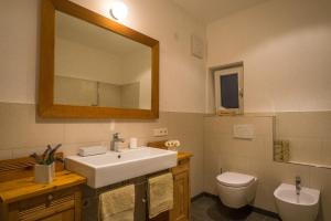 a bathroom with a sink and a toilet and a mirror at Villa Quenz Family Suites in Ortisei