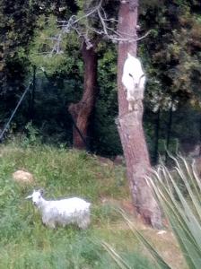 Afbeelding uit fotogalerij van Villa Antibes 180 Seawieu in Vallauris