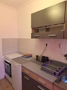 ポドゴリツァにあるSunrise 2のキッチン(シンクとコンロ付きのカウンター付) +9枚の写真