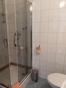 a bathroom with a shower and a toilet at Noclegi, Pokoje Gościnne, Wyżywienie, Catering, AGRO ELA in Wydmusy
