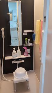 a bathroom with a toilet and a mirror and a stool at Kenny's house in Joso +40 photos