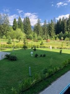 a large green field with trees in the background at Silver Luxury 6 in Poiana Brasov +28 photos
