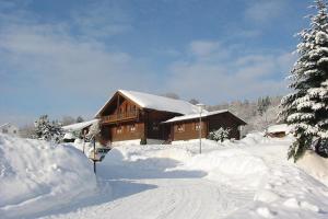 Το Wohnung in Bayerisch Eisenstein mit Garten τον χειμώνα