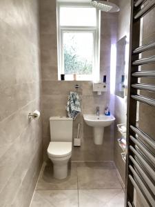 a bathroom with a toilet and a sink at Ground floor Appartment shared with host in Edinburgh