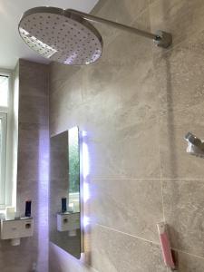 エディンバラにあるGround floor Appartment shared with hostの鏡付きシャワー付きのバスルーム +21枚の写真