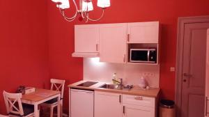 Kuchyň nebo kuchyňský kout v ubytování Charming studio apartment with terrace near Mérode