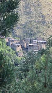 a group of buildings on the side of a hill at Doxturi's sakhli in Shatili