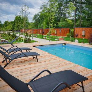 a swimming pool with two lounge chairs next to it at Mălinului Resort and Spa in Bughea de Sus