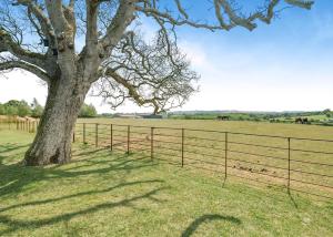 a tree in a field next to a fence at Firtree Farm Lodges in Yeovil
