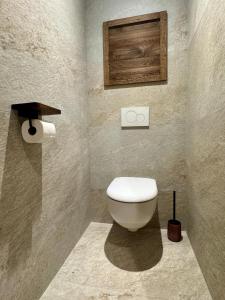 a bathroom with a white toilet in a room at Chalet Roger in Montvalezan +21 photos