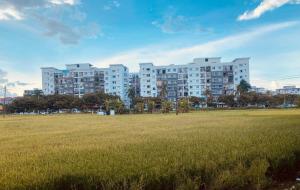 a large apartment building in a field of grass at Ruộng Homestay in Thôn Trường Giang