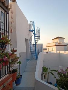 a stairway with potted plants on the side of a building at Apartamento en Cádiz in Benalup Casas Viejas