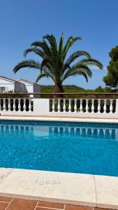 a palm tree in front of a swimming pool at La FINCAD4 entre plages et Forêt in Son Parc
