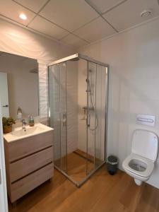 ein Badezimmer mit Dusche, Waschbecken und Toilette in der Unterkunft Casa Es Vedra in Rojales