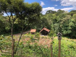 a house in a field with a fence and a bird house at Chalé com Vista para Vinhedo e Natureza in Guarapuava