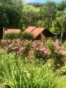Taman di luar Chalé com Vista para Vinhedo e Natureza