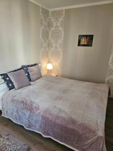 a bedroom with a large bed with a lamp at Nikolai 9-3 in Pärnu