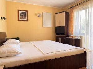 a bedroom with a large bed with a window at Casa Anamaria in Baile Felix