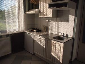Kuchyň nebo kuchyňský kout v ubytování Apartmány pod Kozákovem