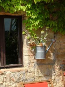 une plante en pot dans un pot sur le côté d'un bâtiment dans l'établissement Appartamento Blu, à San Donato in Poggio