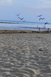 Fotografie z fotogalerie ubytování Apartamento 2 dormitorios Isla Canela v destinaci Isla Canela