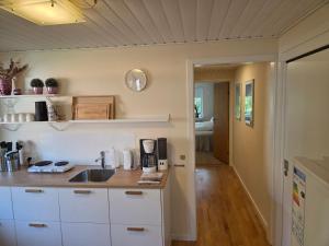 a kitchen with a sink and a counter top at Oasen - hyggelig lejlighed in Videbæk