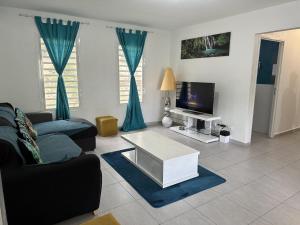 a living room with a couch and a tv at L'ile aux couleurs in Les Abymes