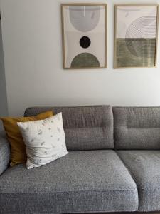 a gray couch with two pictures on the wall at Apartman Green Divčigora in Divčibare