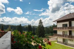 a view from the balcony of a house with flowers at Avalanche Chalet in Poiana Brasov