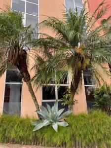 two palm trees in front of a building at Anacã São Carlos in São Carlos