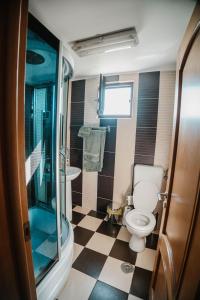 a bathroom with a toilet and a glass shower at Sfantu Gheorghe Escape in Sfântu Gheorghe +22 photos